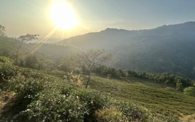 Pastor Meyer in India